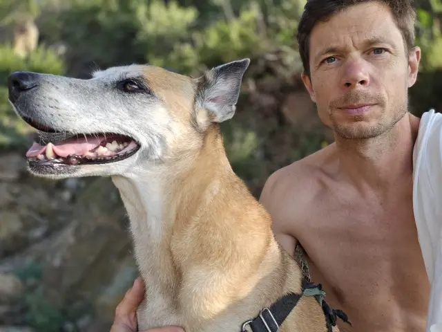 chienne lost   83980 Le Lavandou Leya