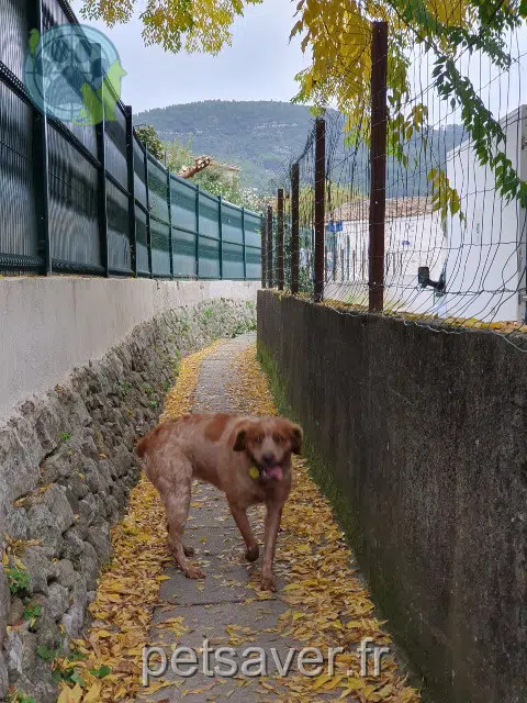 cagna lost   83500 La Seyne-sur-Mer Roxa