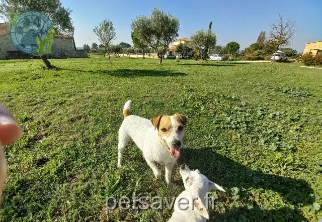 cagna lost 84190 Beaumes-de-Venise Olya