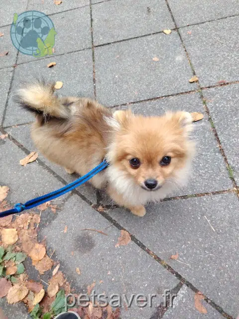 Bella