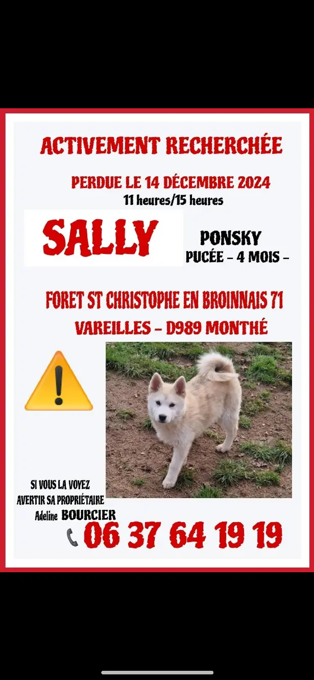 Chienne Perdue - Sally Chienne Perdue - Sally