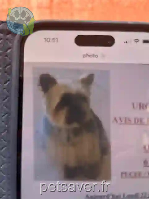 Chienne Perdue 11 Aude - Orna Chienne Perdue 11 Aude - Orna