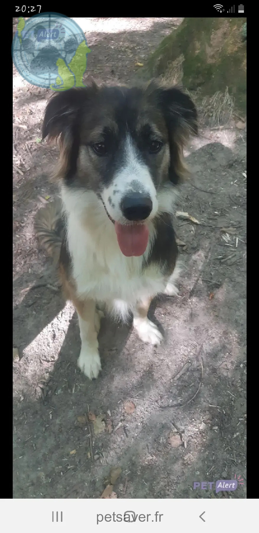 Chienne Perdue 28 Eure-et-Loir - Tecum