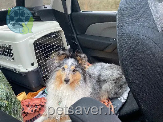 Chienne Perdue 45 Loiret - Sun Chienne Perdue 45 Loiret - Sun