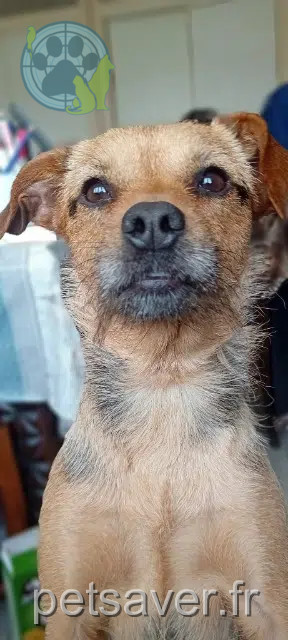 cadela reunited   62138 Haisnes Vanille