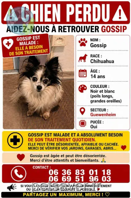 cagna reunited   68116 Guewenheim Gossip