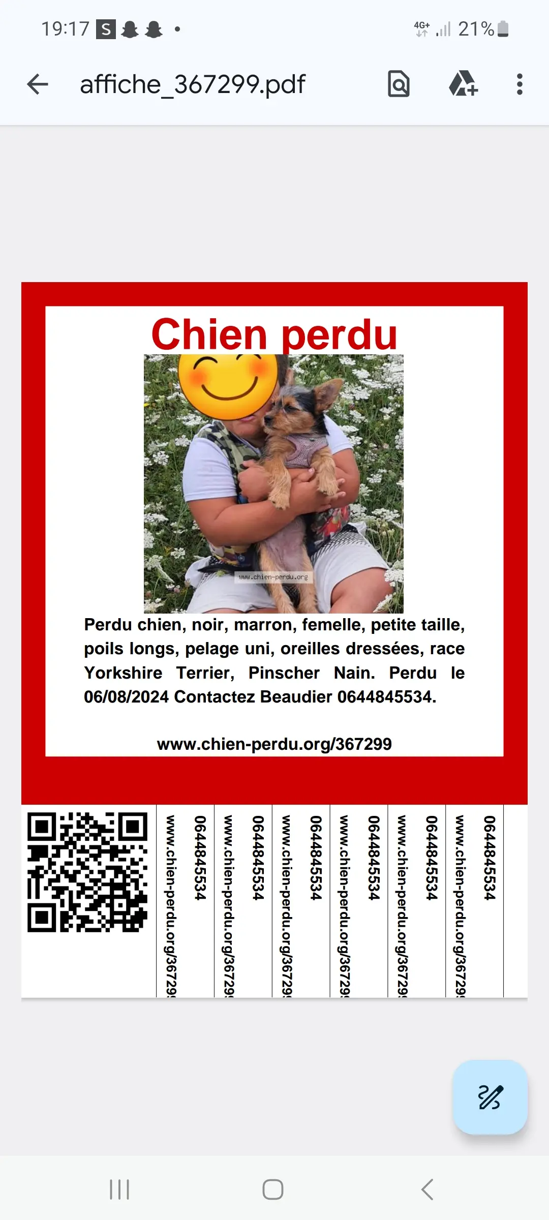 Chienne Trouvée 69 Rhône Chienne Trouvée 69 Rhône