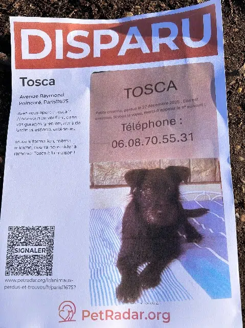 chienne reunited    Paris Tosca