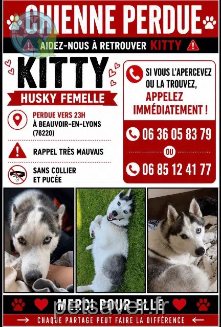 chienne reunited   76220 Bosc-Hyons Kitty