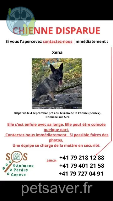 chienne reunited   1233 Bernex Xena