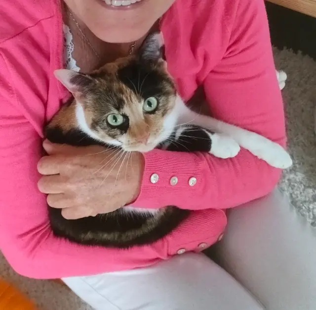 chatte lost   29510 Edern Satya