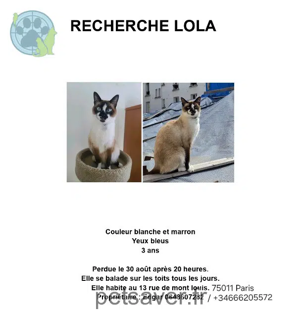 chatte reunited París Lola