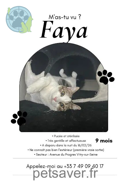 chatte reunited   94400 Vitry-sur-Seine Fata